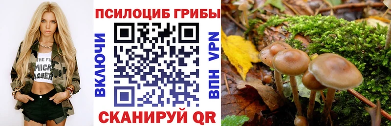 Галлюциногенные грибы Psilocybe  как найти наркотики  Усть-Кут 